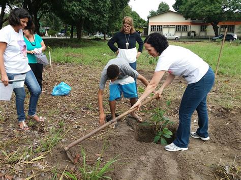 Bosque Em Defesa Da Vida Recebe Cuidados De Professores E Parentes De