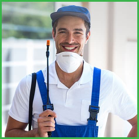 5 Pest Control Service Expectations Vs Reality Swf Egypt Pest Control