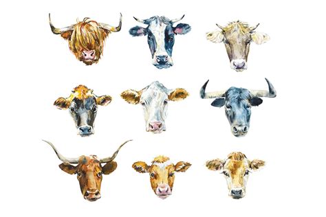 From The Corral Breeding Solutions Meatpoultry