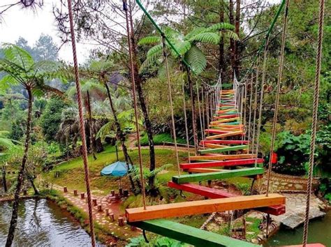 Puncak Bogor Punya Tempat Wisata Keluarga Paket Komplit Liburan Di