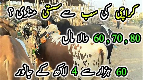 Karachi Ki Sab Se Sasti Mandi Cow Mandi Karachi Bakra Eid 2023