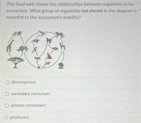 Solved This Food Web Shows The Relationships Between Organisms In An