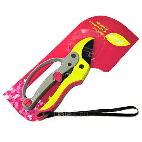 Набор садовых инструментов ListOK Секатор ступенчатый купить по ...