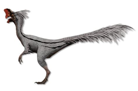Oviraptor