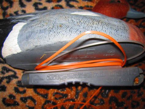 Продам 4 чучела свиязи Гринхед немного б\у : Охотничьи товары куп ...