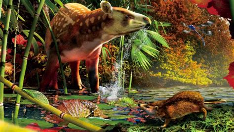 Prehistoric Hedgehog Tapir Species Discovered In Canada Paleontology