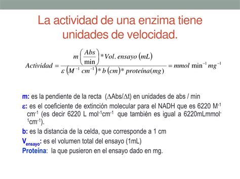 Ppt Medición De Actividad Enzimática Cálculos Powerpoint