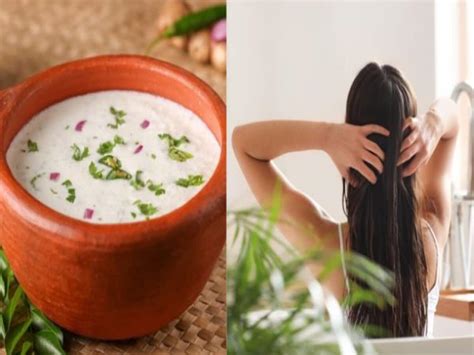 Hair Care How To Use Buttermilk Or Chaas To Get Thick Long And Silky