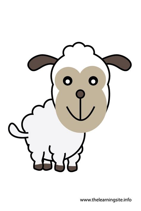 Sheep Flashcard The Learning Site