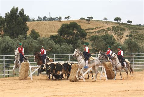 Azambuja Em Festa Largadas De Toiros E Concertos Gazeta Rural