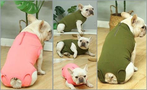 Wabdhaly Dog Surgery Recovery Suitmedium Suit For Female