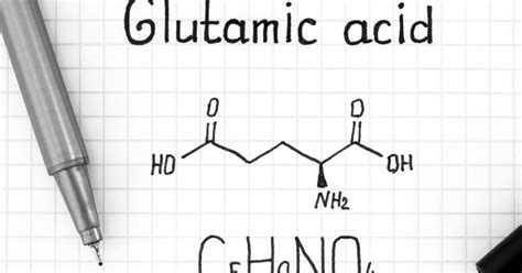 Glutamato O Que Benef Cios E Riscos Associados