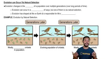Unlock Evolution: How Natural Selection Shapes Life in Real Time 1