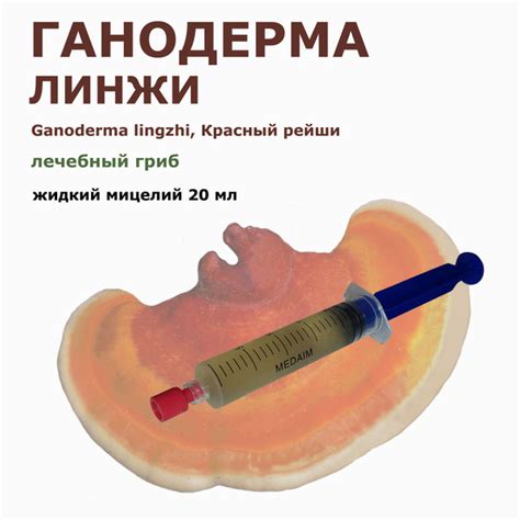 Жидкий мицелий грибов Трутовик линжи (Красный рейши) 20 мл. - купить по ...