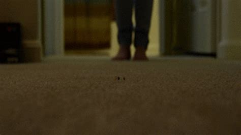 Blonde Girls Unaware Giantess Walk By And Crush AVI Amateur Soles Giantess And Footjobs