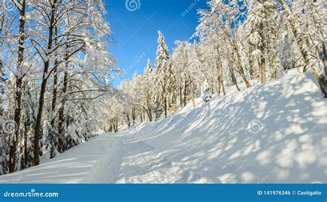 Polish Winter Landscape in the Mountains, Snowy Trees and Roads. Stock Photo - Image of trees ...