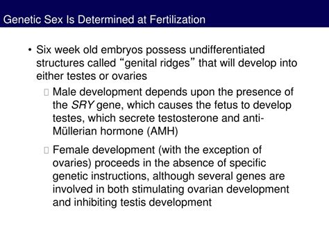 Ppt Sexual Development From Fertilization To Atypical Sex Development Powerpoint Presentation