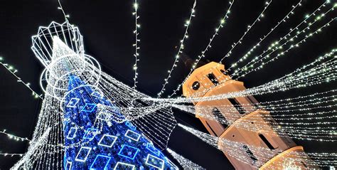 Самая красивая ёлка Европы в Вильнюсе — TravelBlog Baltic