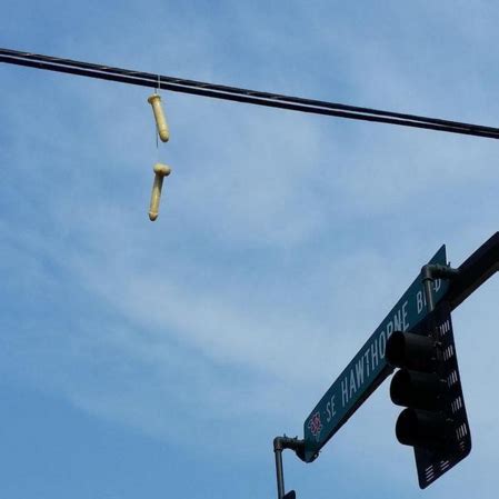 Sex Toys That Ended Up In Places They Definitely Didn T Belong Ebaum S World