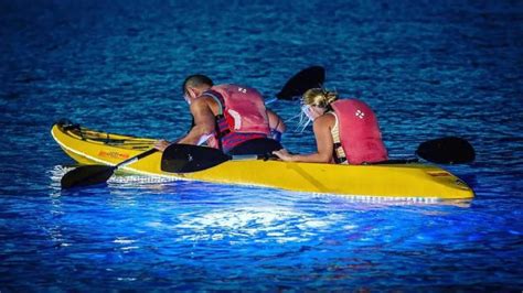 Bioluminescence Night Kayaking In Havelock Island Updated