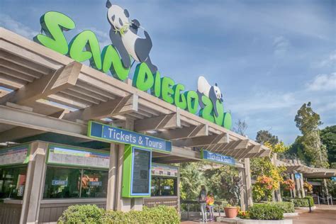 Guide To San Diego Zoo Tickets