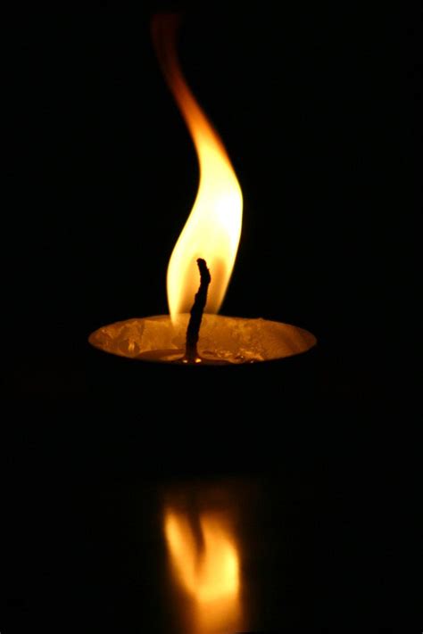 candlelight  yangandyin  deviantart artofit