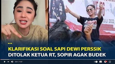 Klarifikasi Soal Sapi Dewi Perssik Ditolak Ketua RT Sopir Dewi Persik