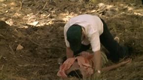 La Noche De Los Girasoles Nude Scenes Aznude