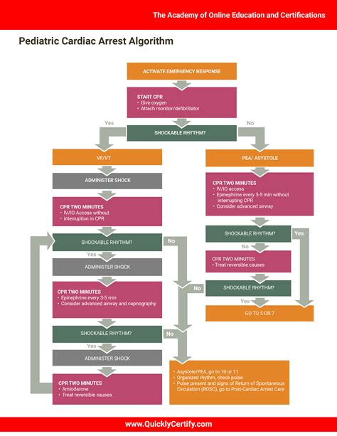 Basic Life Support Algorithms The Academy Of Online Education And