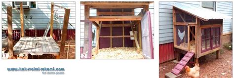 Курятник для перепелов своими руками - 81 фото