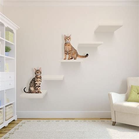 Cat Room Inspiration Sweet Surprise For Your Furry Friend Homemydesign