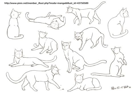 簡単 描き 方 猫 イラスト