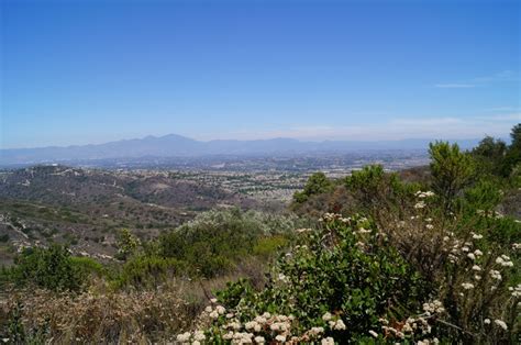 Colony Aliso Viejo Home Values