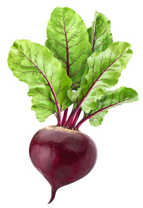 The Benefits of Beets - Health BeatHealth Beat