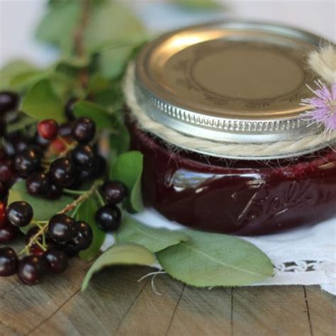 how to make chokecherry jelly