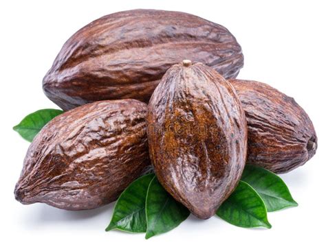 Cosses De Cacao Avec Des Feuilles De Cacao D Isolement Sur Un Fond