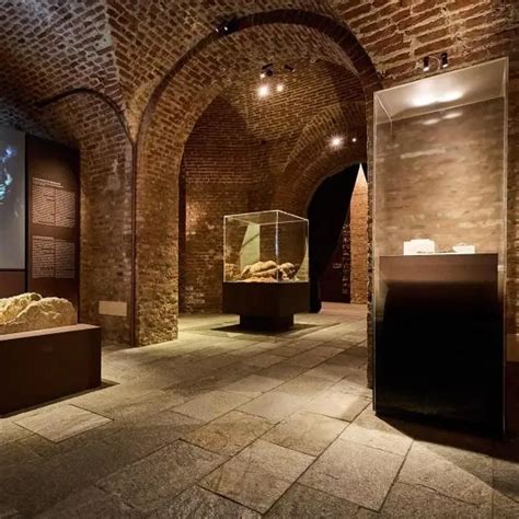 Anatomia Di Un Inizio Il Nuovo Allestimento Del Museo Di Antichit Di