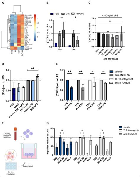 pf impairs  production   distinct set  chemokines  human