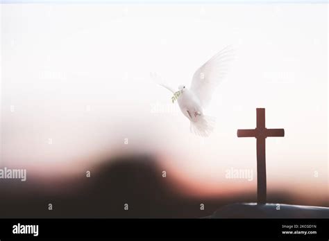 Dove And Cross Wallpaper