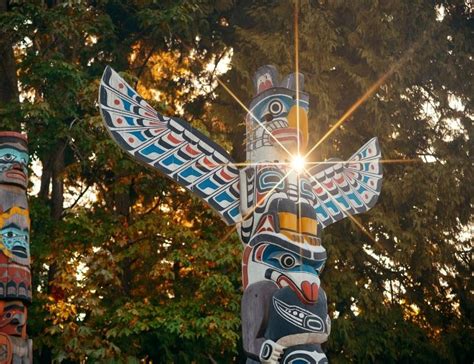 Toucan Spiritual Meaning 8 Wonders Of This Majestic Bird