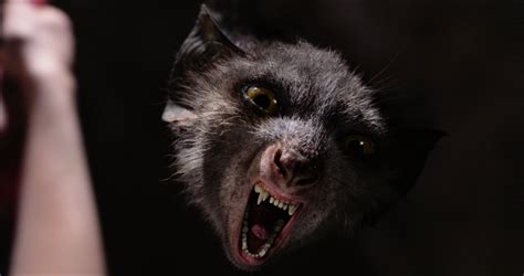 Фото: Он — дракон / Кадр из фильма «Он — дракон» (2015) #2660018