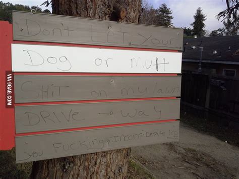 Meanwhile In California 9gag