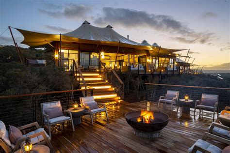 Shamwari Private Game Reserve Addo Tourism