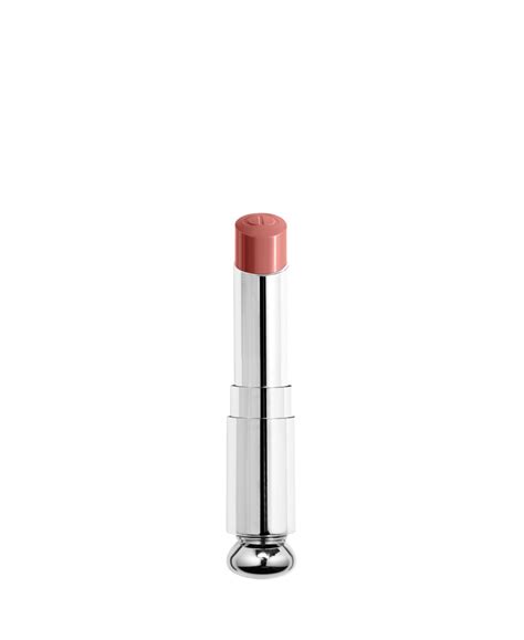 Dior Plum Nude Lipstick Products Editorialist