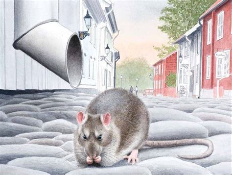 Стефан Каста. Мышиная книга — Лучшие Детские Книги