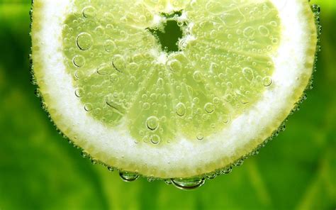 Citrus Wallpapers Wallpaper Cave