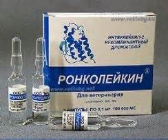 Препарат "Ронколейкин" для кошек: описание, применение, отзывы