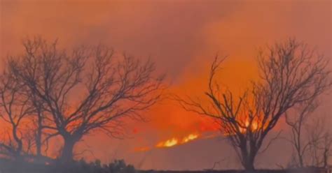 Massive Wildfires Burning In Texas Panhandle Force Evacuations Prompt Disaster Declaration