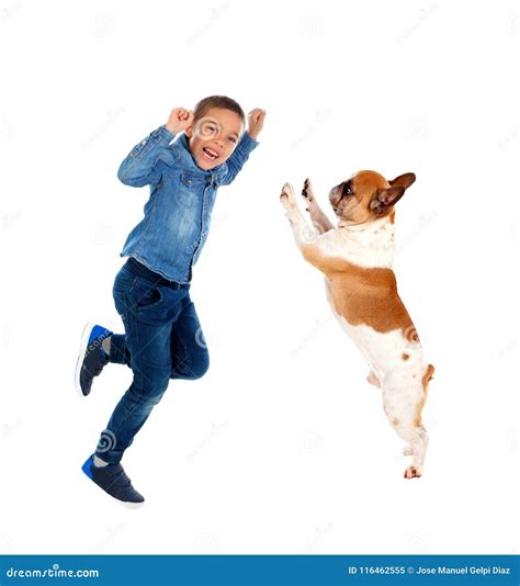 Why Does My Dog Jump On Me While Walking at Eula Seay blog