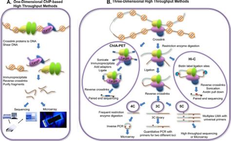 Uncovering Transcription Factor Modules Using One And Three